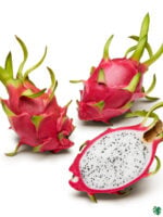 White-Dragon-Fruit-Plant-Pitaya-3x4-Product-Peppyflora-01-a-Moz