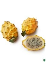 Yellow-Dragon-Fruit-Plant-Pitaya-3x4-Product-Peppyflora-01-a-a-Moz