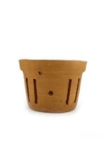 Terracotta-Bucket-Shape-Round-Orchid-Planter-#16722-3x4-Product-Peppyflora-01-a-Moz
