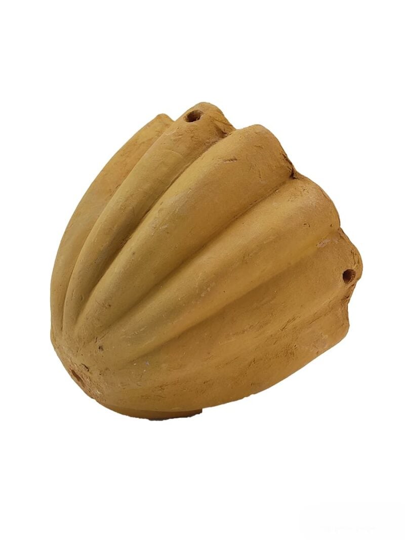 Terracotta-Hanging-Shell-Shape-Planter-#16676-3x4-Product-Peppyflora-01-c-Moz