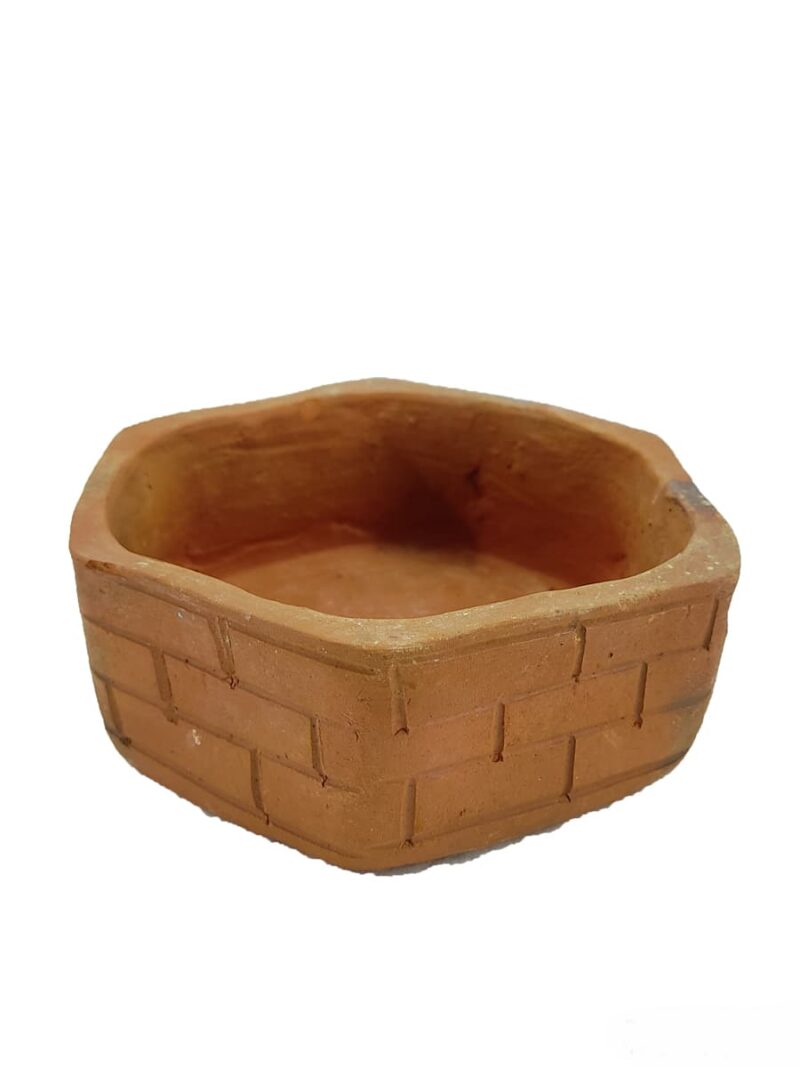 Terracotta Hexagonal Pot #16765 3X4 Product Peppyflora 01 A Moz