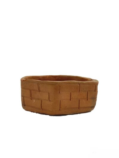 Terracotta-Hexagonal-Pot-#16765-3x4-Product-Peppyflora-01-b-Moz