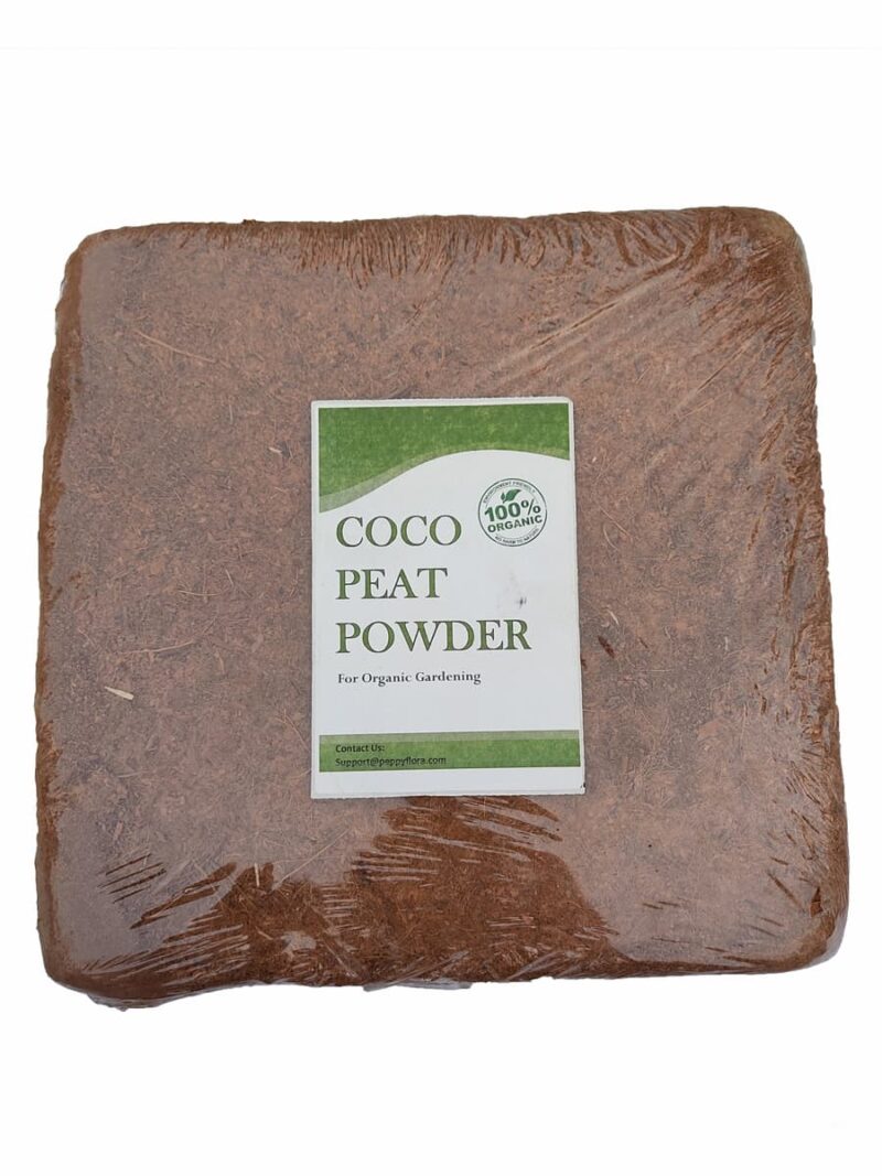 Coco Peat Powder 3X4 Product Peppyflora 01 Moz
