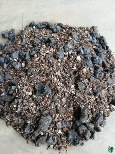 Peppyflora Soil Mixture For Adenium 3X4 Product Peppyflora 01 A Moz