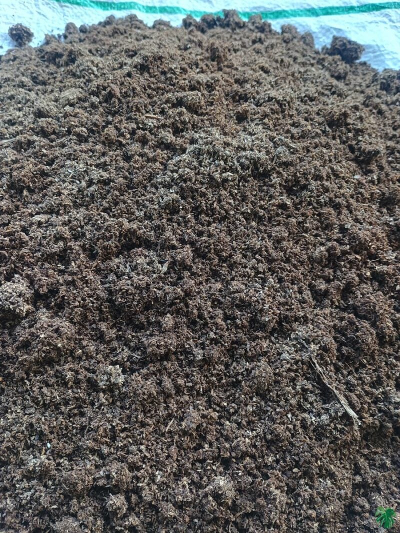 Cow-Dung-Manure-3x4-Product-Peppyflora-01-d-Moz