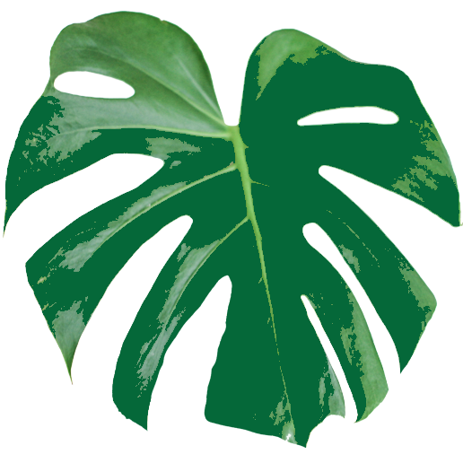 Peppyflora