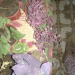 Tradescantia Pallida Queen - Purple Heart Plant